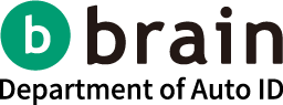 brain